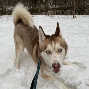 Meet your Posher, Jamie